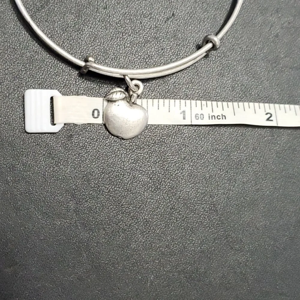 Alex and Ani silver tone apple bracelet 7.5